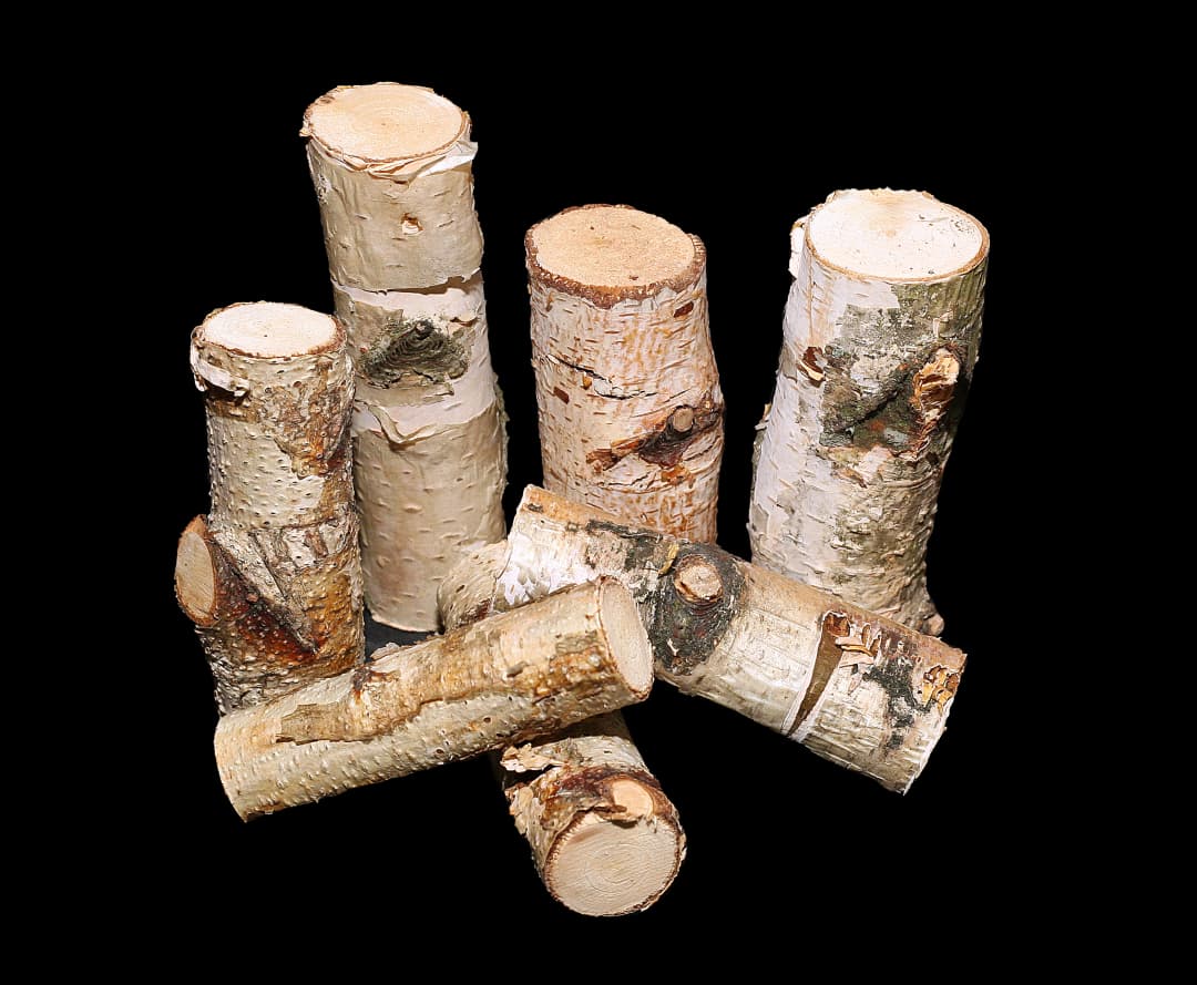 Free Creative Building Game – Bring the Forest into Your Home